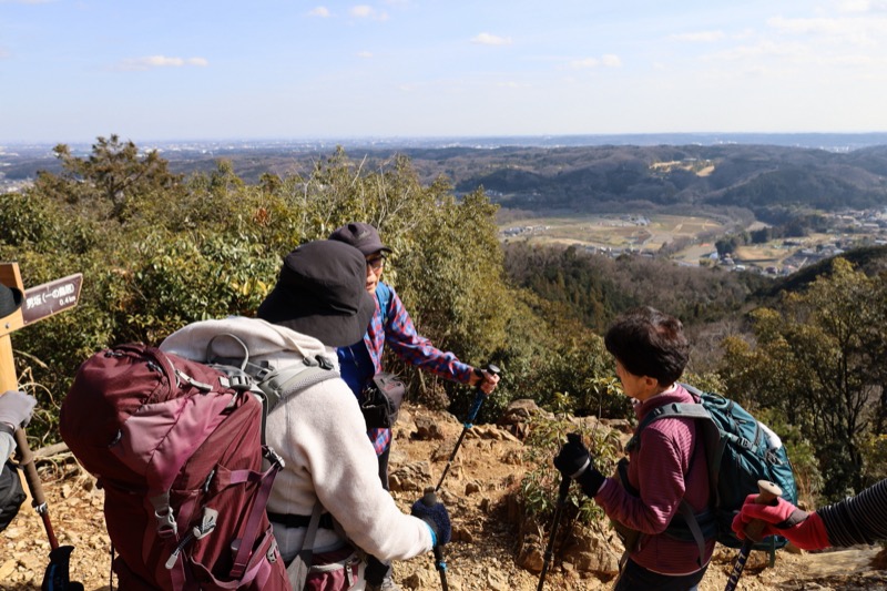 日和田山、物見山